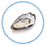 oysters