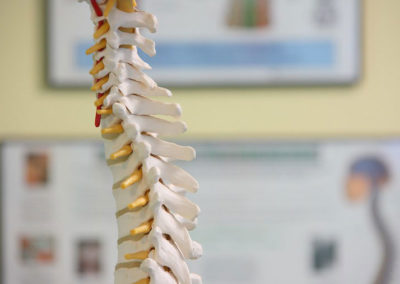 A Spinal Cord Injury lawsuit can help address long lasting pain and suffering.
