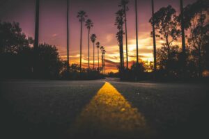 survival on the road