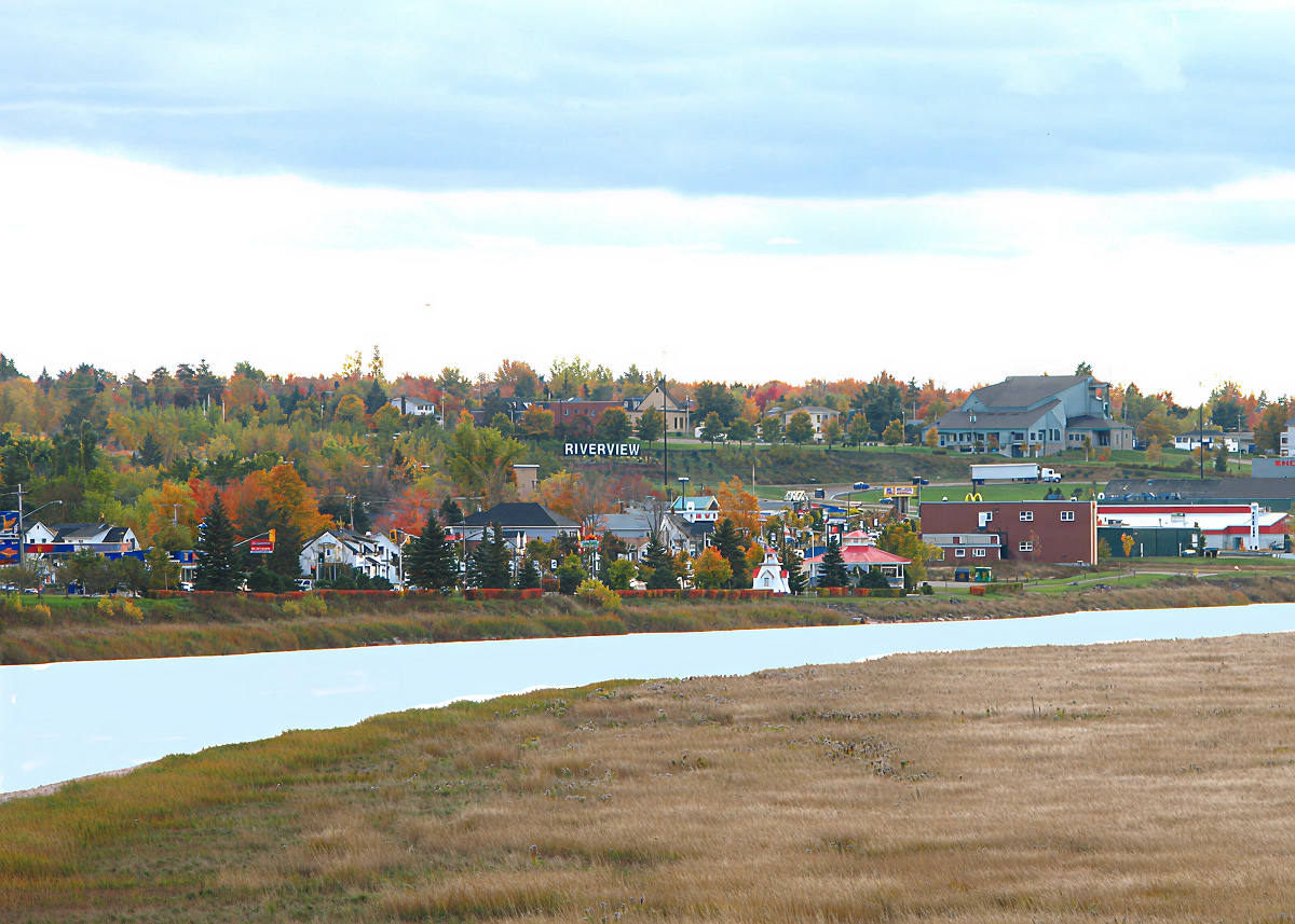 riverview personal injury lawyer